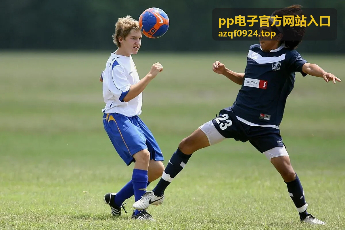 pp电子官方网站入口直播看点数据盘点